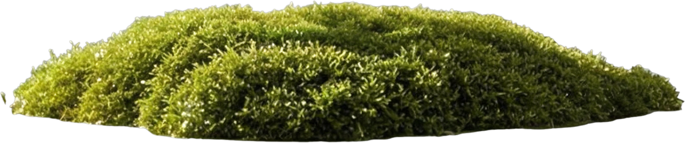 Moss platform