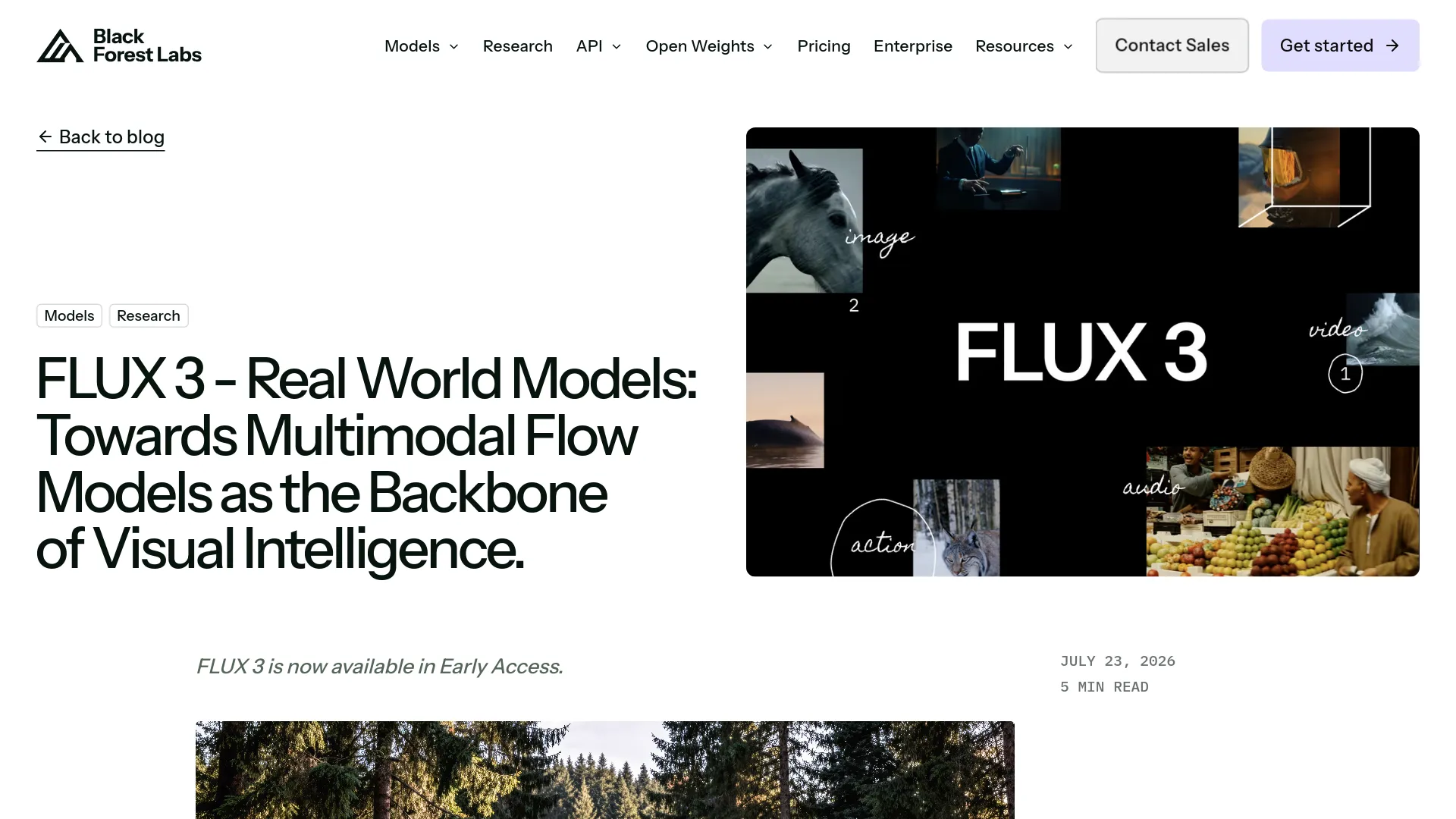 FLUX 3 official blog page from Black Forest Labs showing multimodal video capabilities