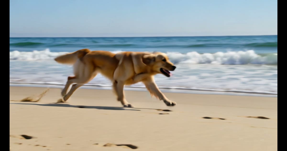 Kling v3 Omni 720p Text-zu-Video eines Golden Retrievers am Strand