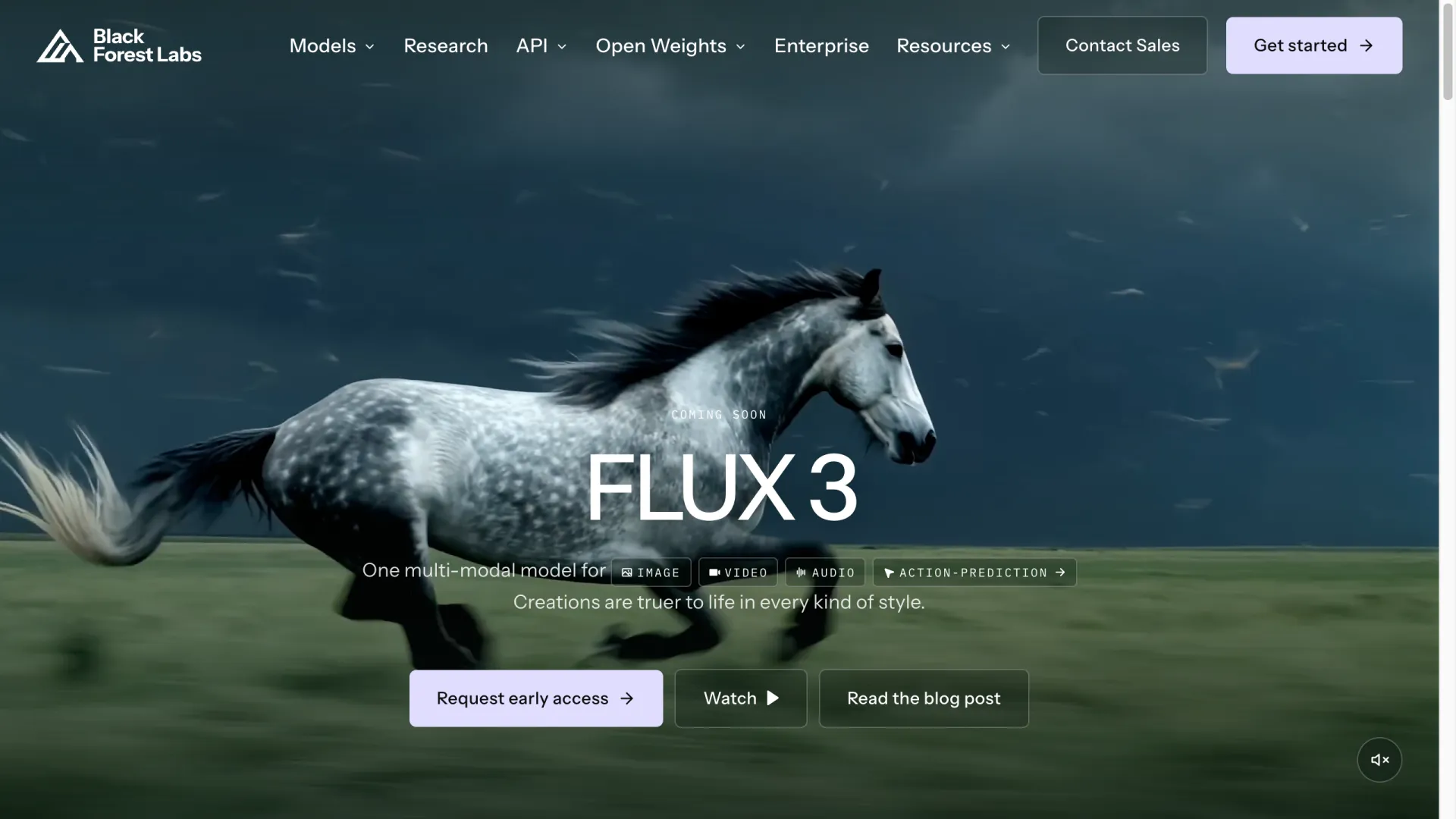 Black Forest Labs FLUX 3 launch page showing one multimodal model for image, video, audio and action